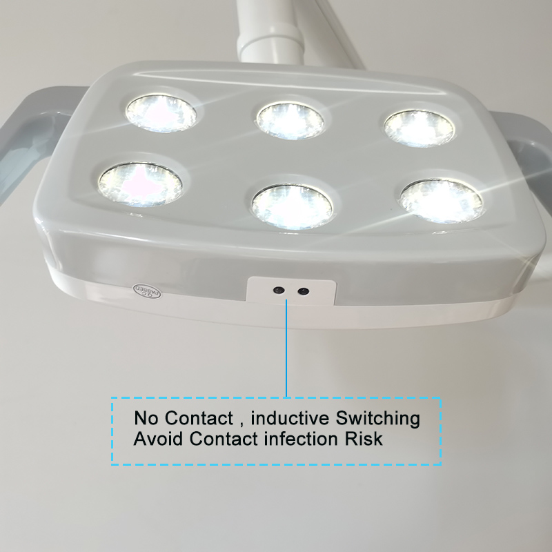 6LED Dental LED Lamp Oral Ligh - Teeth Whitening Dental 评论和价格