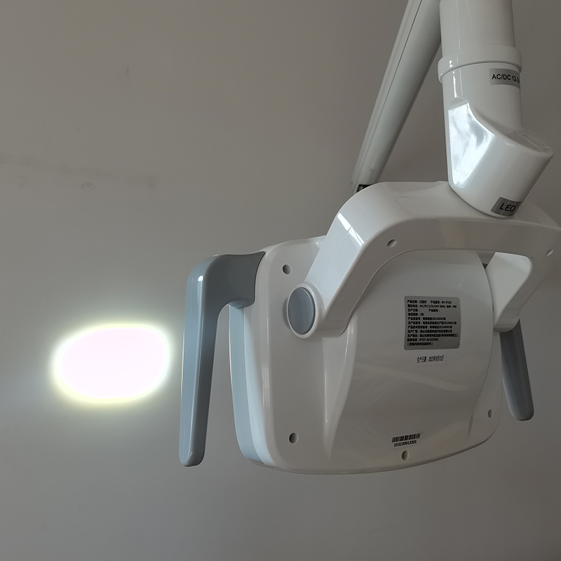 6LED Dental LED Lamp Oral Ligh - Teeth Whitening Dental 评论和价格